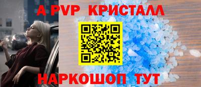 меф Кингисепп